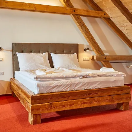 Ryzlink Hotel 4*