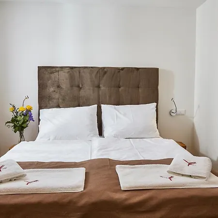 Hotel Ryzlink 4*