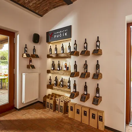 Ξενοδοχείο Ryzlink 4*