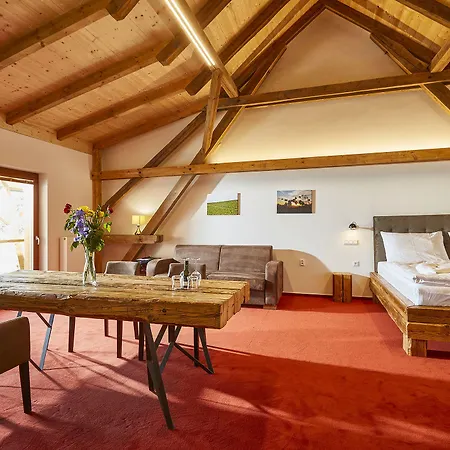 Ryzlink Ξενοδοχείο