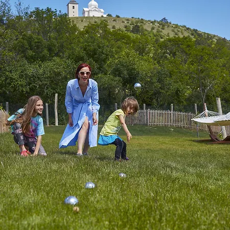 Ξενοδοχείο Ryzlink