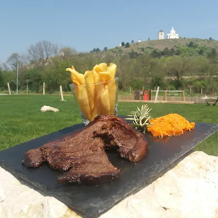 Ryzlink Szálloda Mikulov