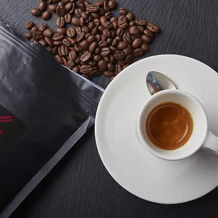 Ξενοδοχείο Ryzlink 4*