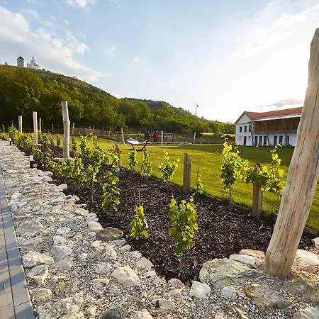 Ξενοδοχείο Ryzlink 4*