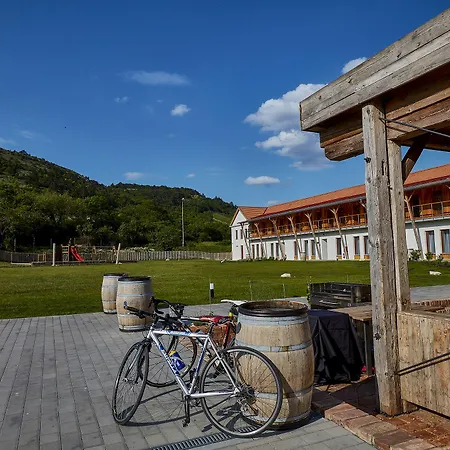 Ξενοδοχείο Ryzlink