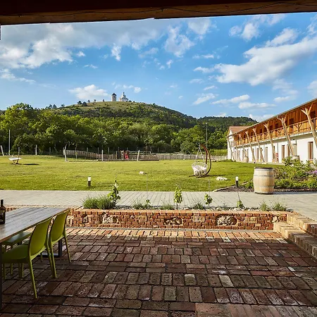 Ryzlink Mikulov