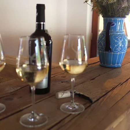 Ryzlink Ξενοδοχείο