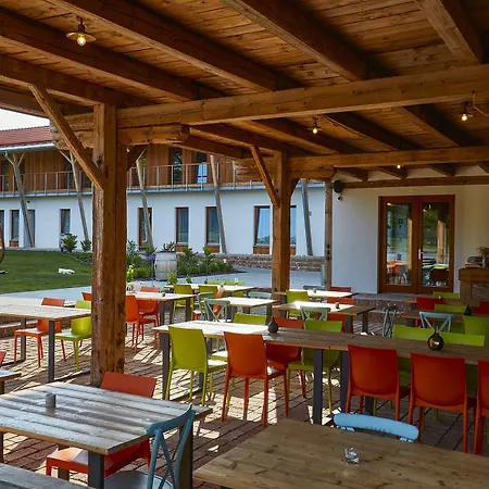 Ξενοδοχείο Ryzlink