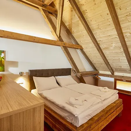 Ryzlink Hotel 4*
