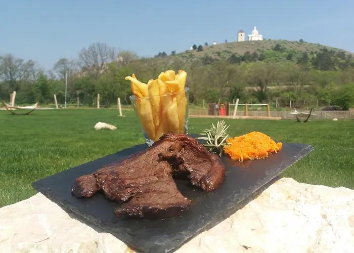 Ryzlink Ξενοδοχείο Mikulov